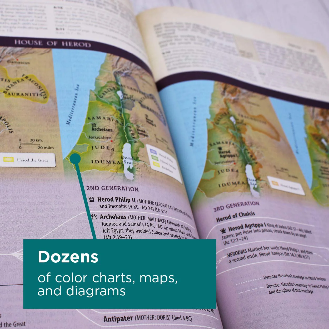 NIV, Cultural Backgrounds Study Bible, Red Letter Edition: Bringing to Life the Ancient World of Scripture - Image 5