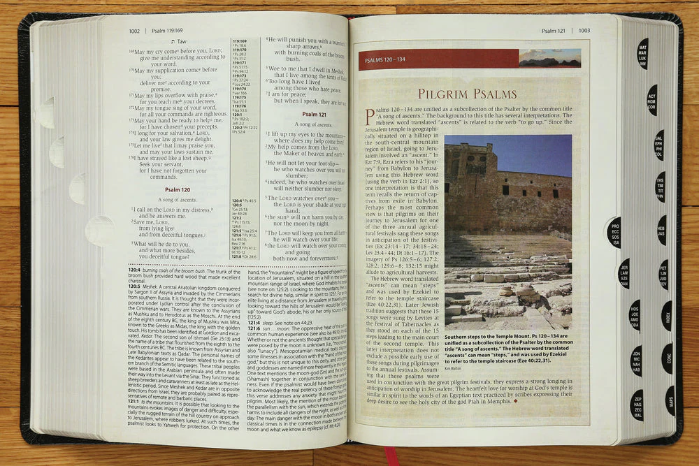 NIV, Cultural Backgrounds Study Bible, Red Letter Edition: Bringing to Life the Ancient World of Scripture - Image 50