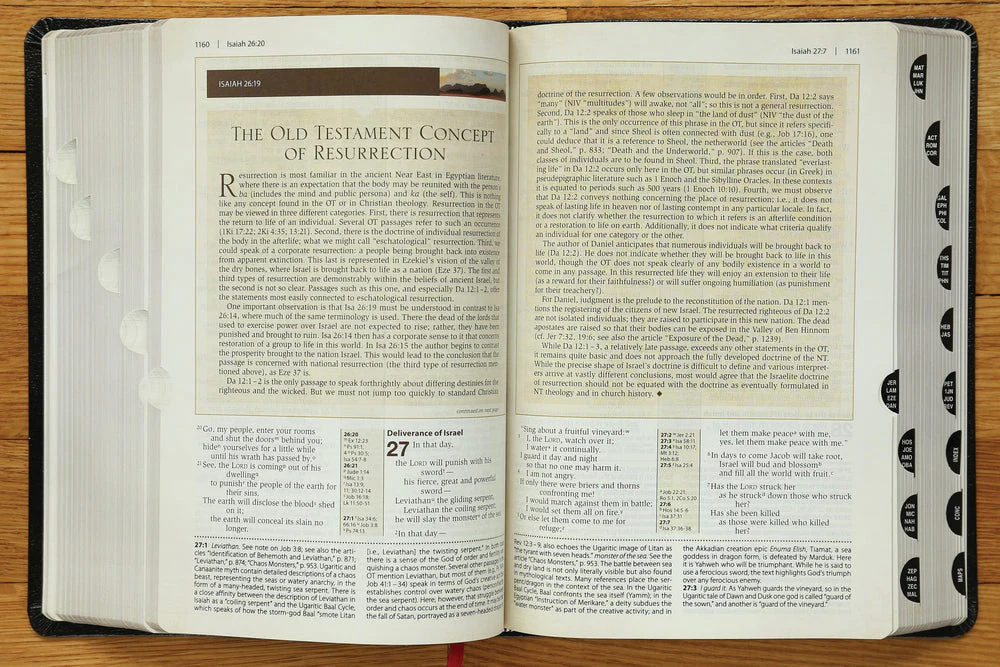 NIV, Cultural Backgrounds Study Bible, Red Letter Edition: Bringing to Life the Ancient World of Scripture - Image 51