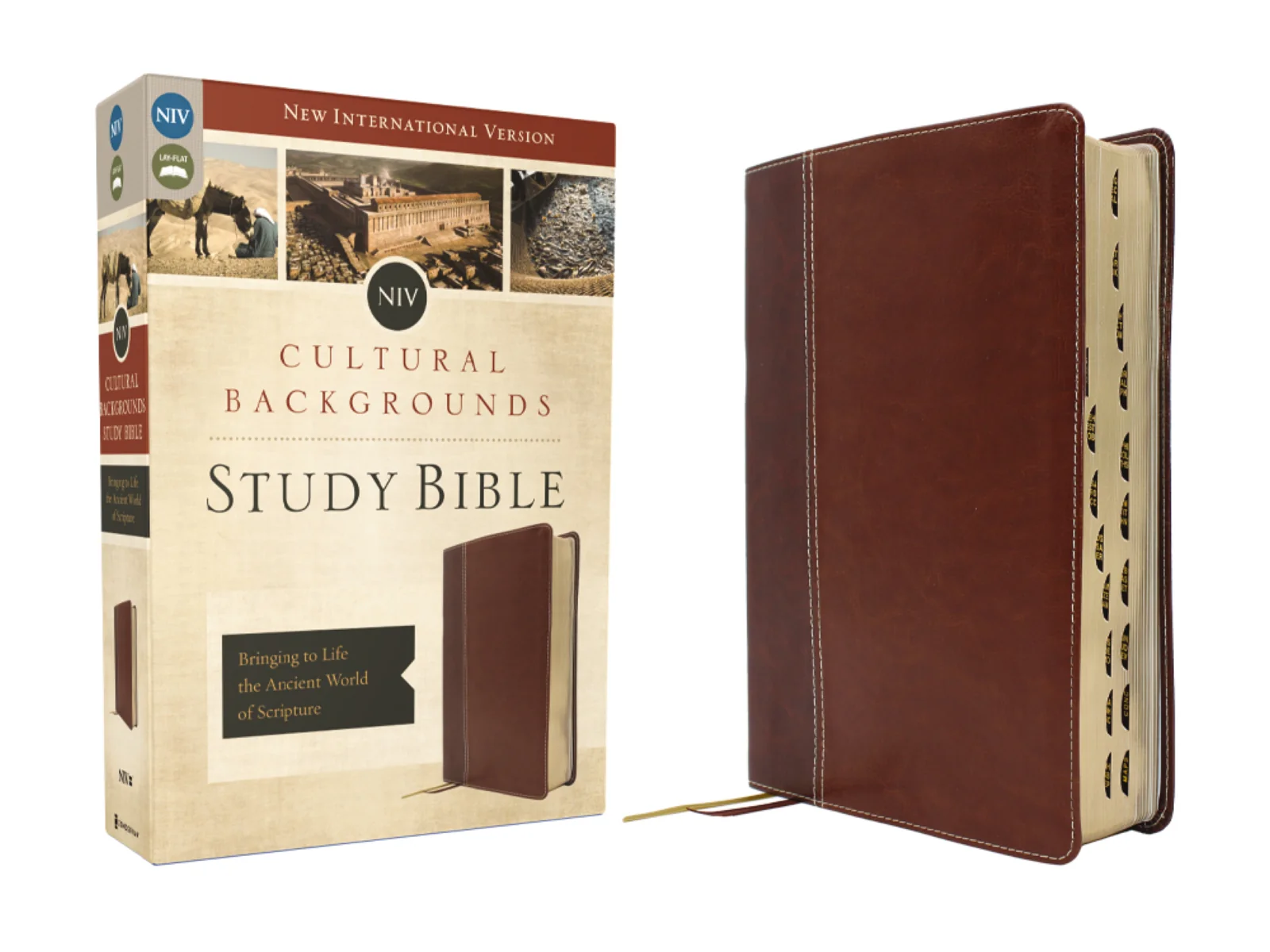 NIV, Cultural Backgrounds Study Bible, Red Letter Edition: Bringing to Life the Ancient World of Scripture - Image 52