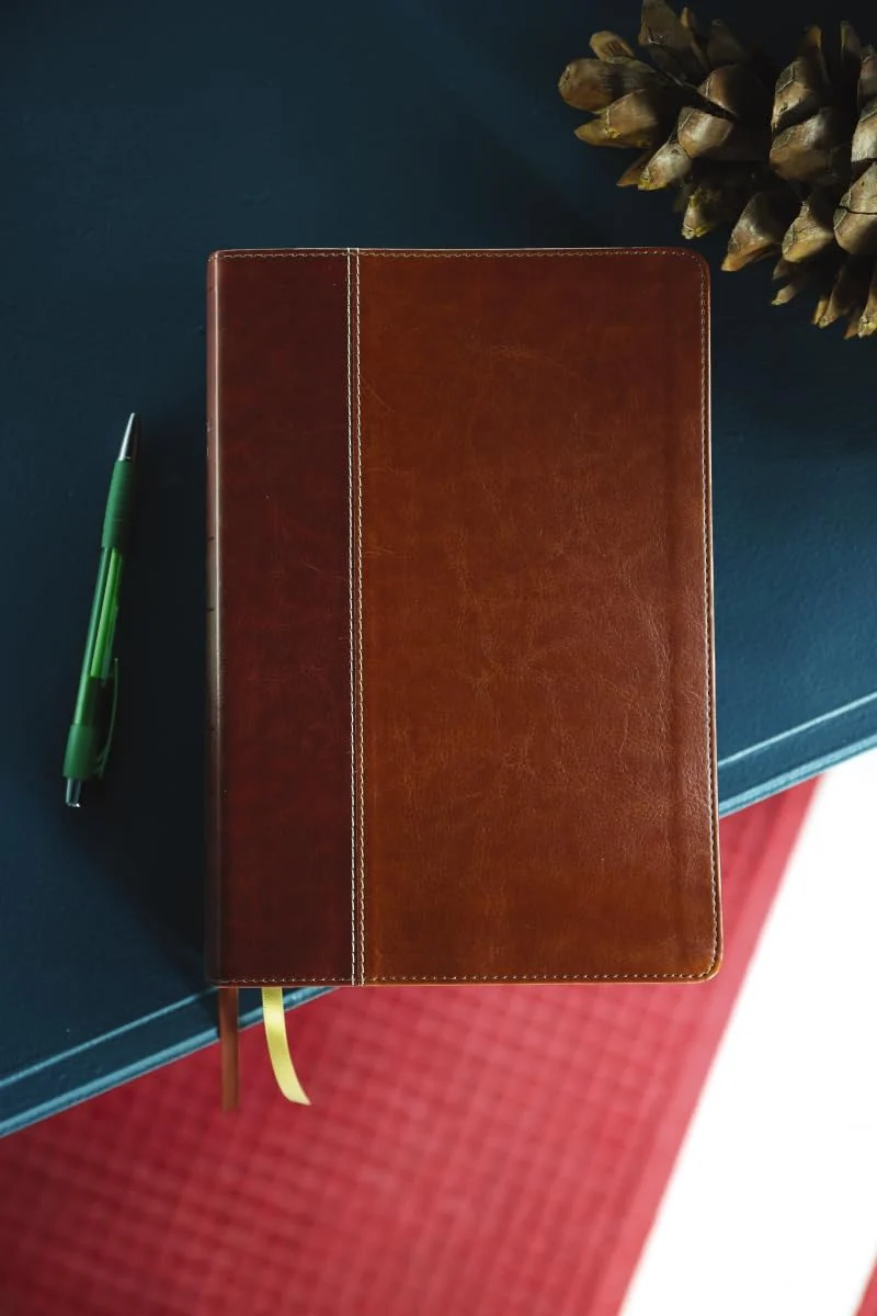 NIV, Cultural Backgrounds Study Bible, Red Letter Edition: Bringing to Life the Ancient World of Scripture - Image 53