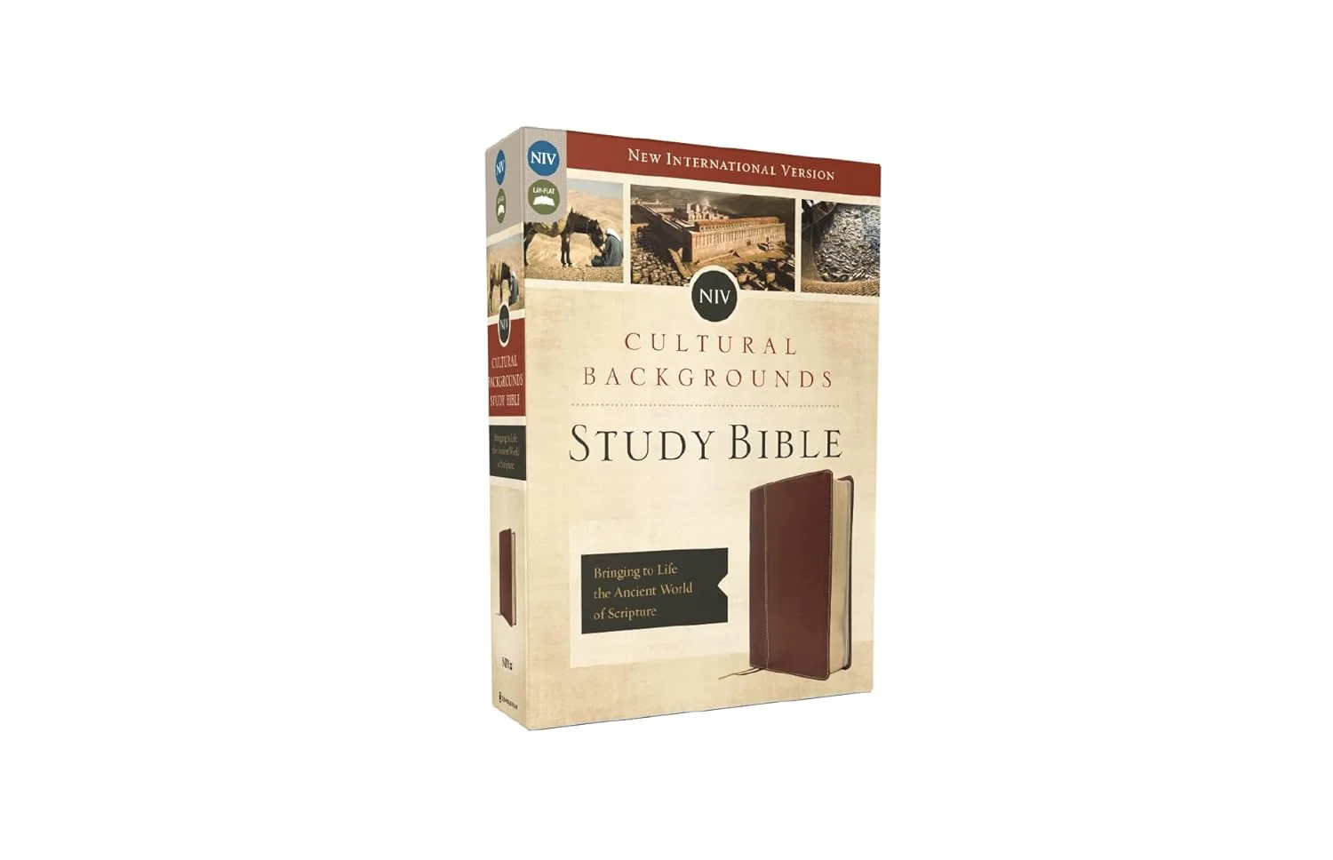 NIV, Cultural Backgrounds Study Bible, Red Letter Edition: Bringing to Life the Ancient World of Scripture - Image 54
