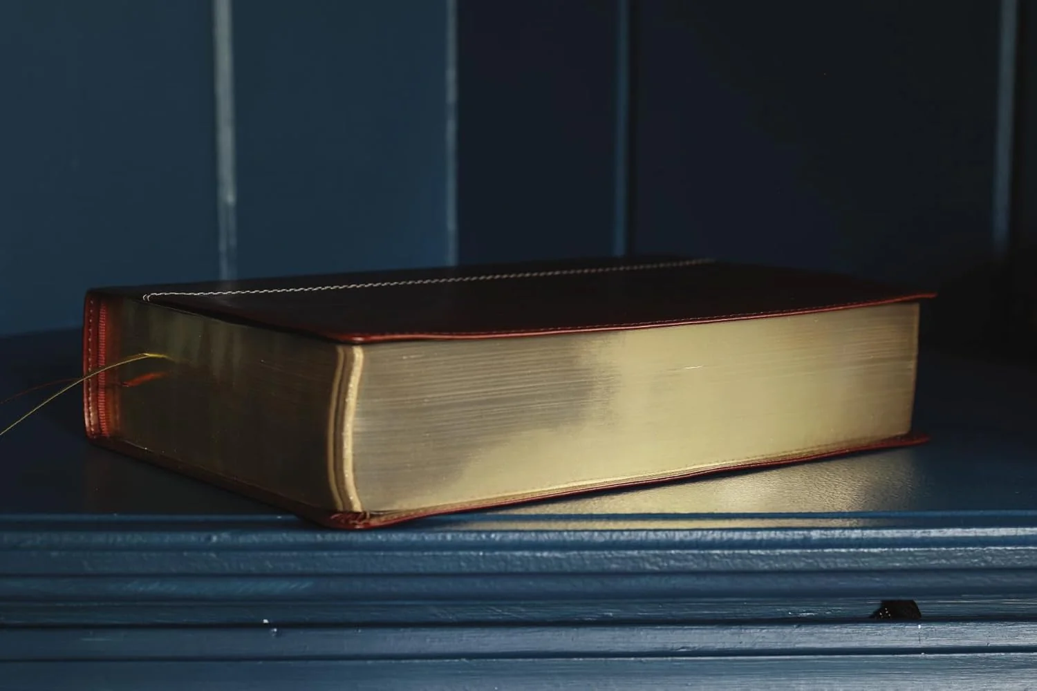 NIV, Cultural Backgrounds Study Bible, Red Letter Edition: Bringing to Life the Ancient World of Scripture - Image 55