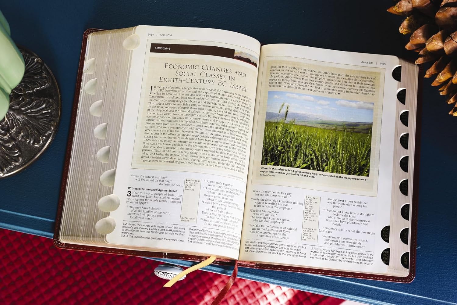 NIV, Cultural Backgrounds Study Bible, Red Letter Edition: Bringing to Life the Ancient World of Scripture - Image 68