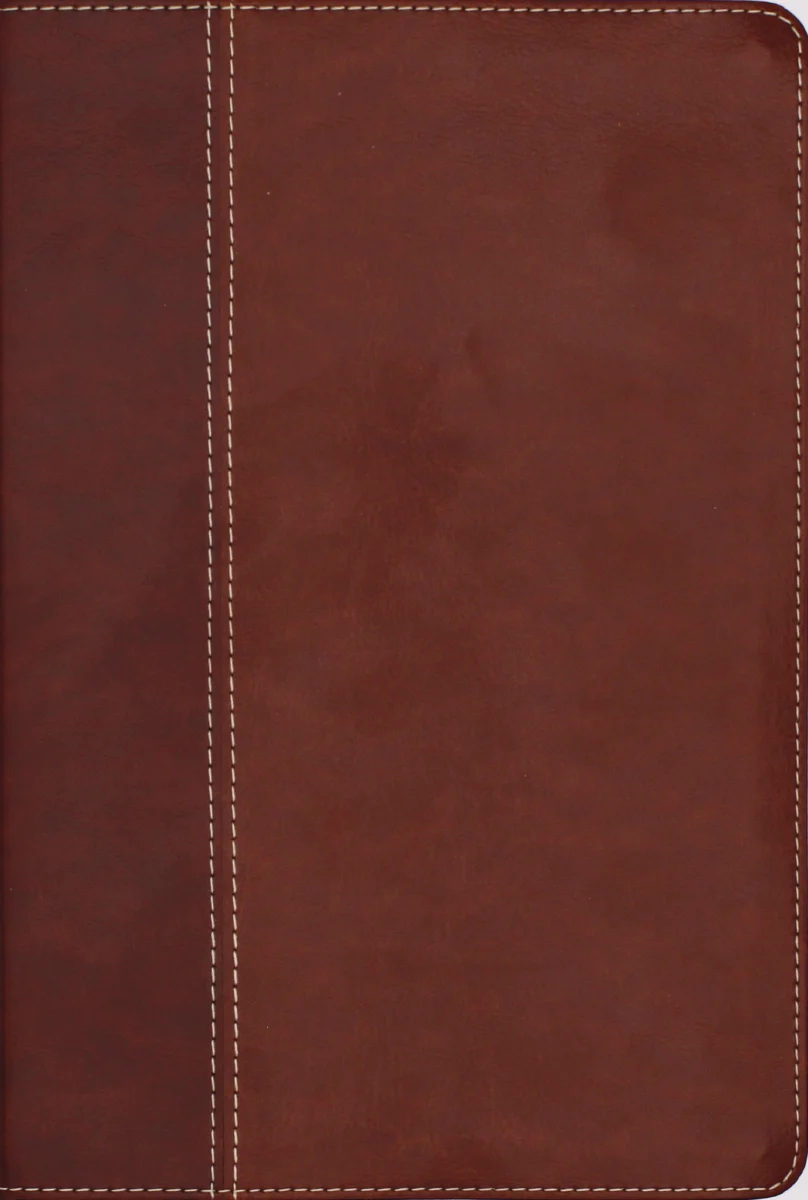 NIV, Cultural Backgrounds Study Bible, Red Letter Edition: Bringing to Life the Ancient World of Scripture - Image 72