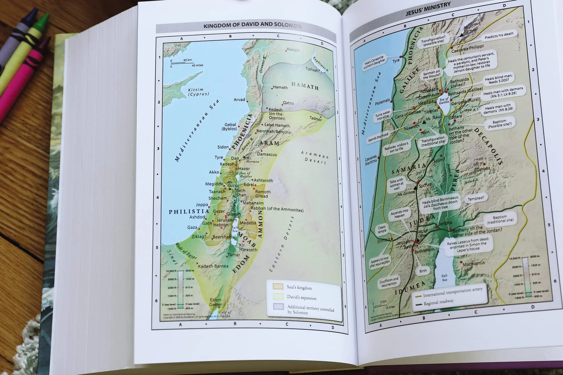 NIV, Discoverer's Bible, Large Print, Hardcover - Image 10