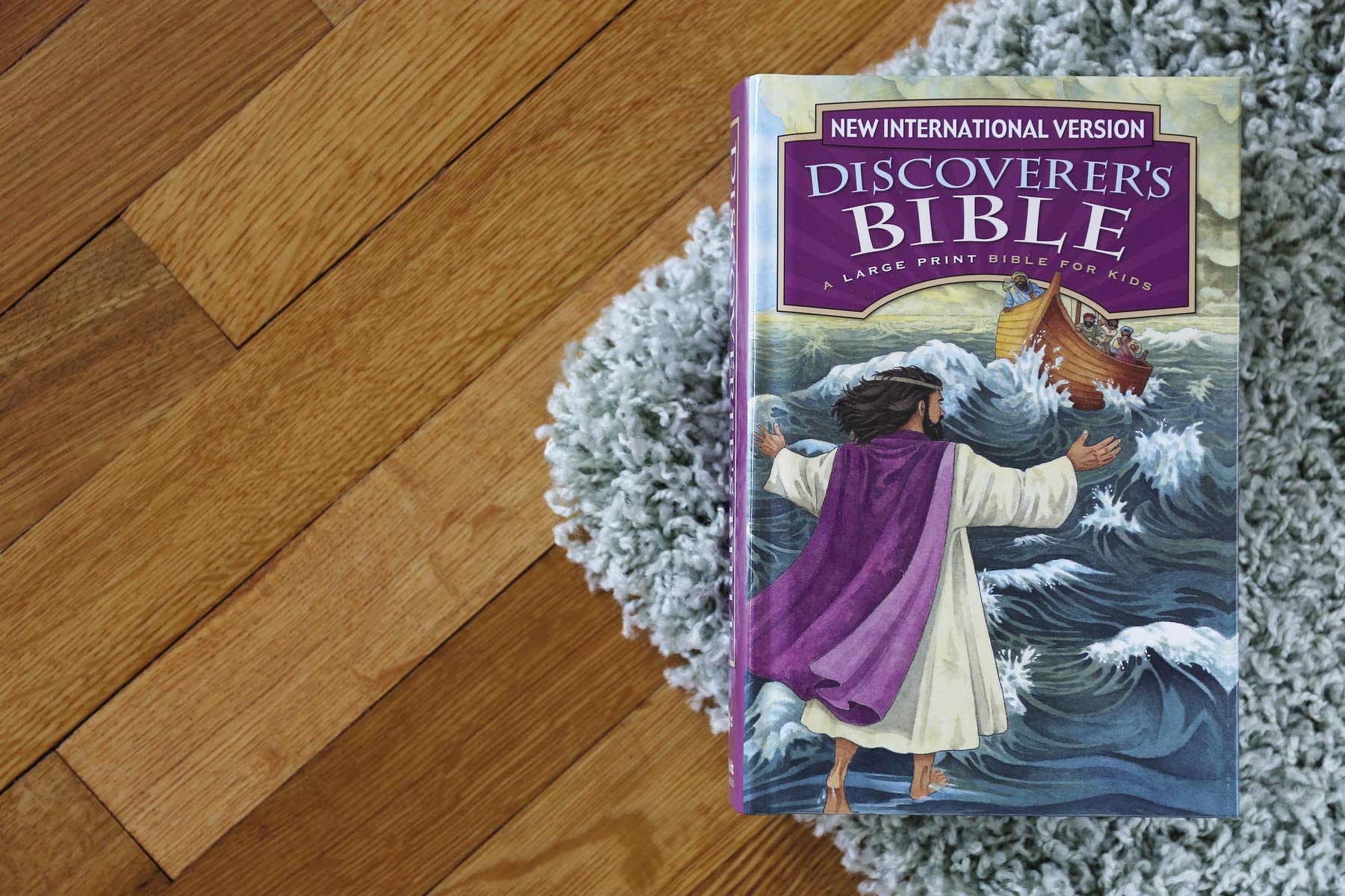 NIV, Discoverer's Bible, Large Print, Hardcover - Image 4