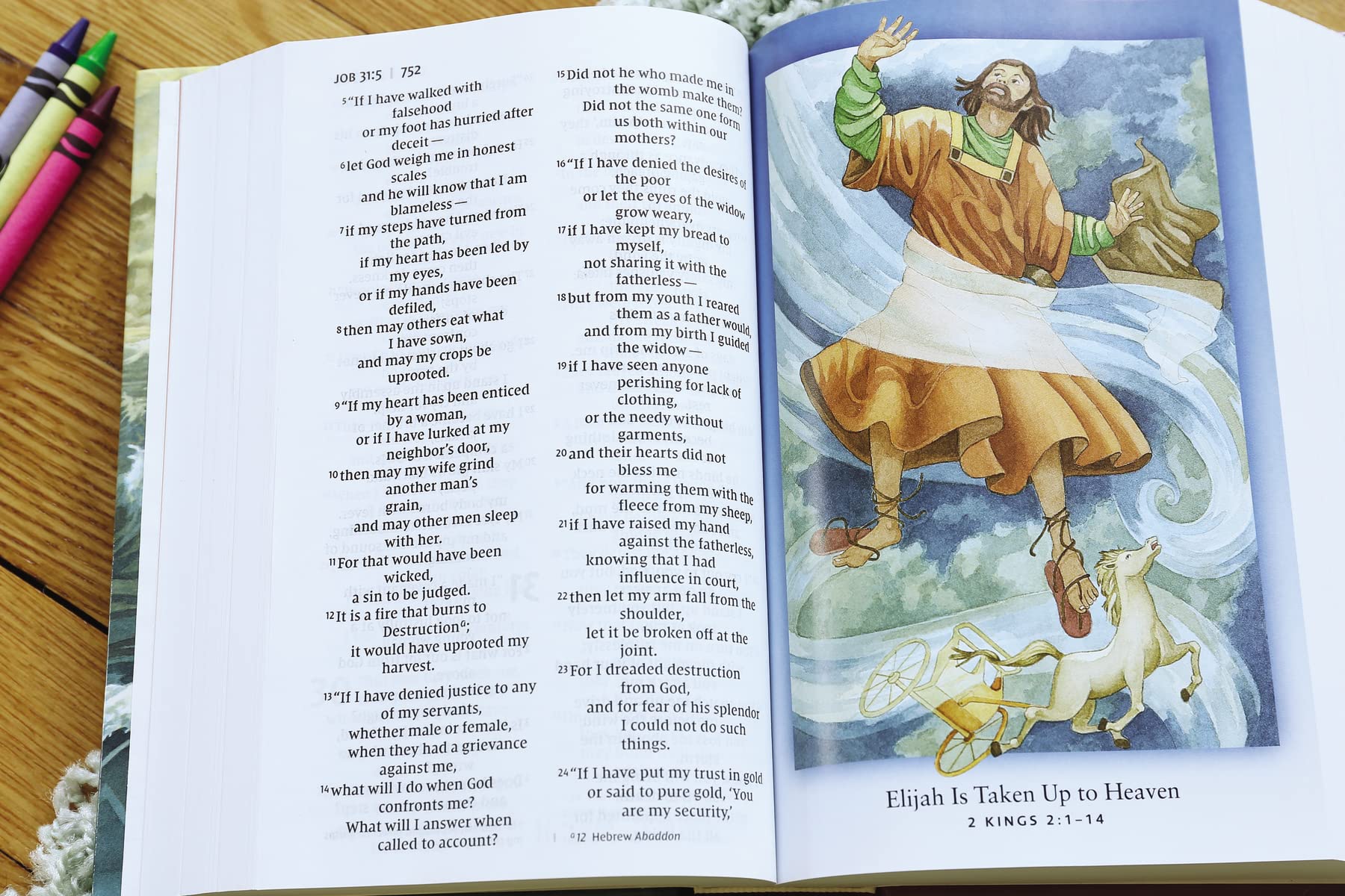 NIV, Discoverer's Bible, Large Print, Hardcover - Image 5