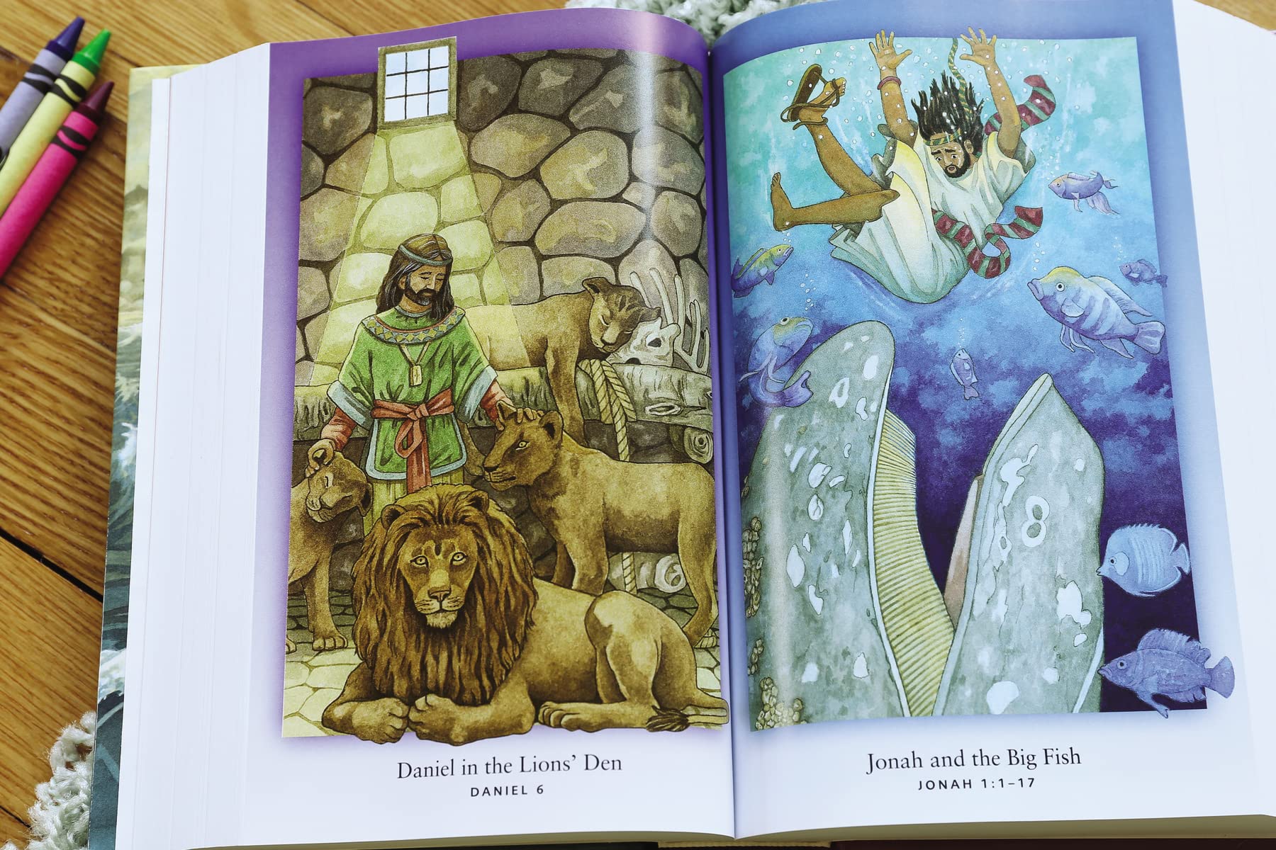 NIV, Discoverer's Bible, Large Print, Hardcover - Image 6