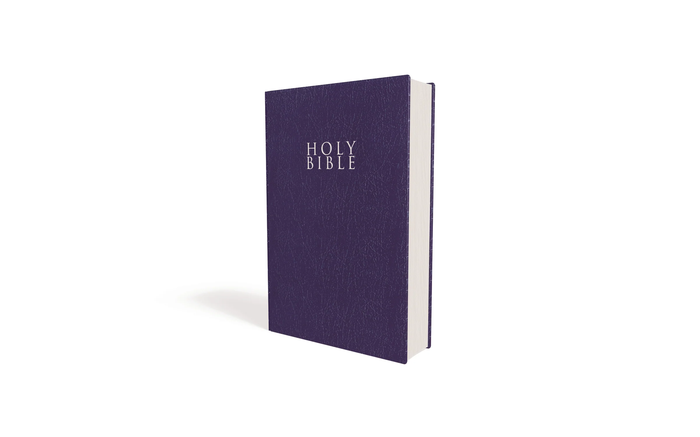 NIV, Gift and Award Bible, Leather-Look, Red Letter Edition, Comfort Print - Image 15