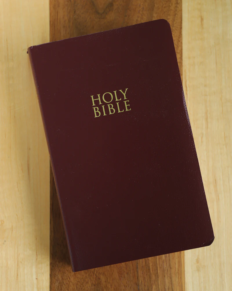 NIV, Gift and Award Bible, Leather-Look, Red Letter Edition, Comfort Print - Image 17