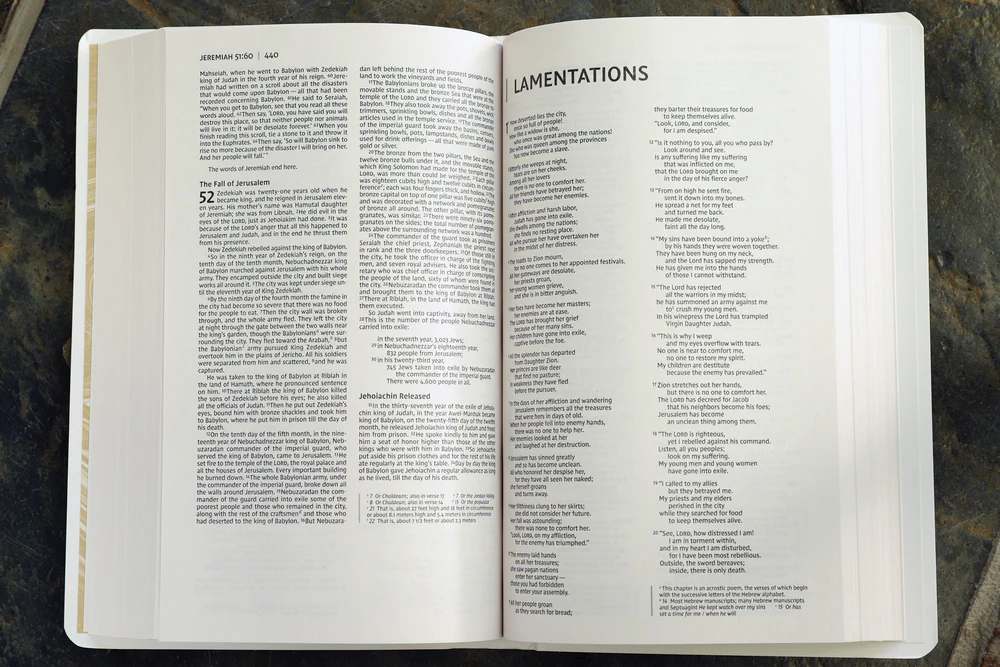 NIV, Gift and Award Bible, Leather-Look, Red Letter Edition, Comfort Print - Image 30