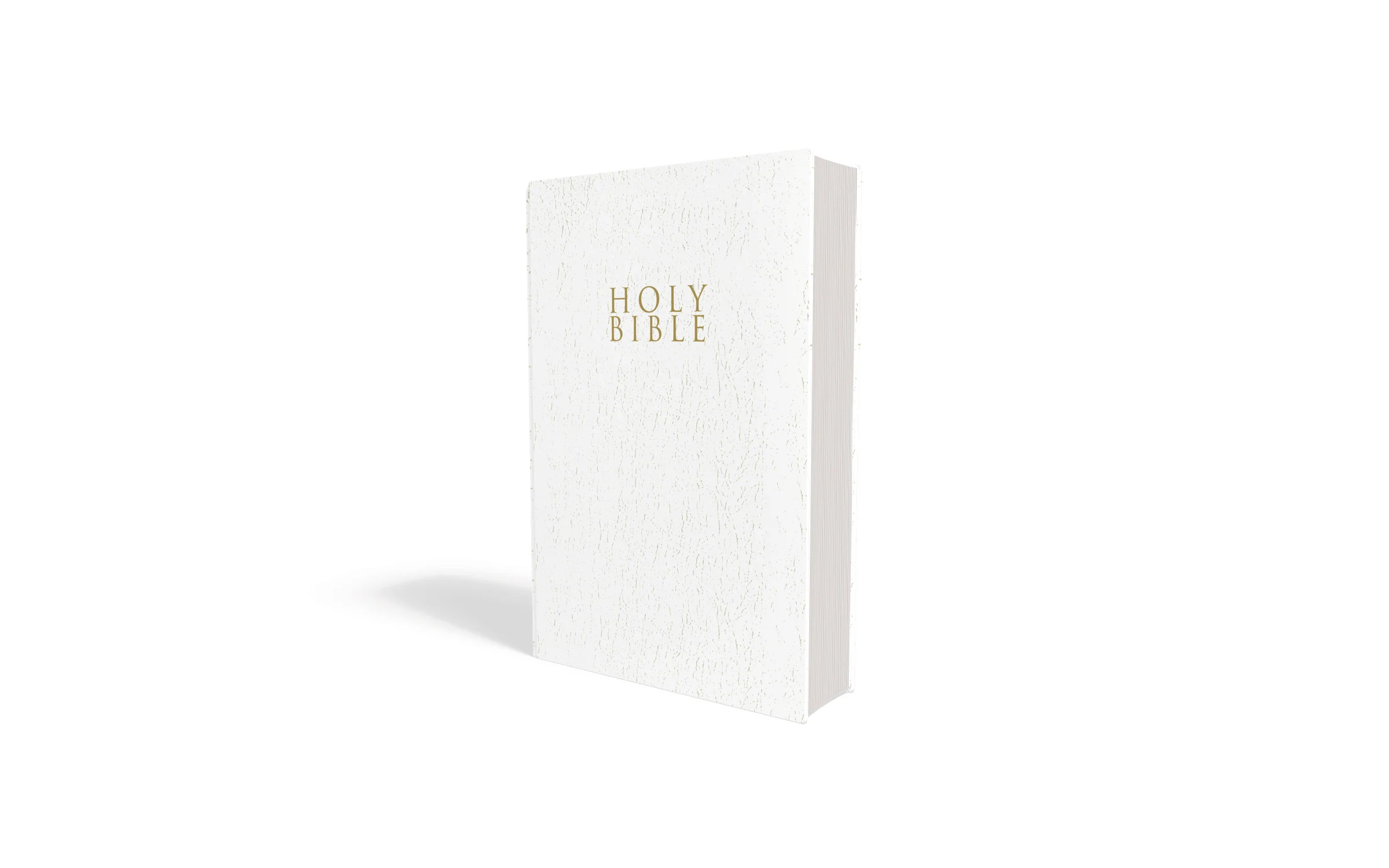 NIV, Gift and Award Bible, Leather-Look, Red Letter Edition, Comfort Print - Image 32