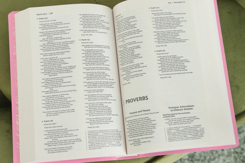 NIV, Gift and Award Bible, Leather-Look, Red Letter Edition, Comfort Print - Image 37