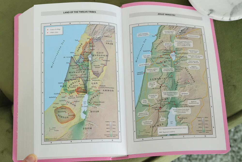 NIV, Gift and Award Bible, Leather-Look, Red Letter Edition, Comfort Print - Image 38