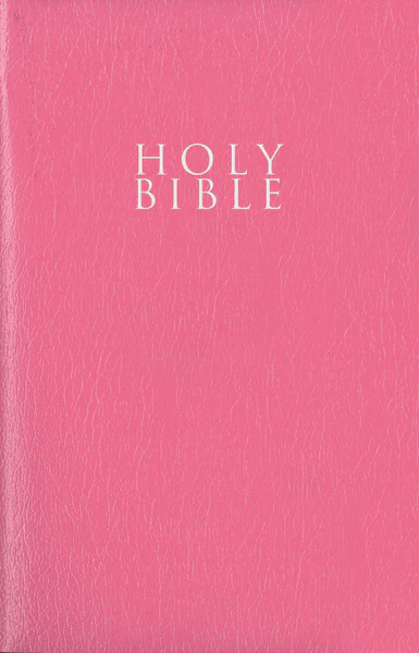 NIV, Gift and Award Bible, Leather-Look, Red Letter Edition, Comfort Print - Image 39