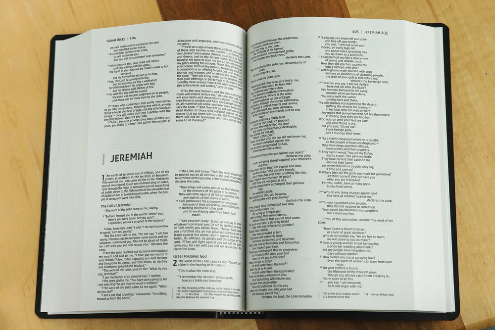 NIV, Gift and Award Bible, Leather-Look, Red Letter Edition, Comfort Print - Image 4