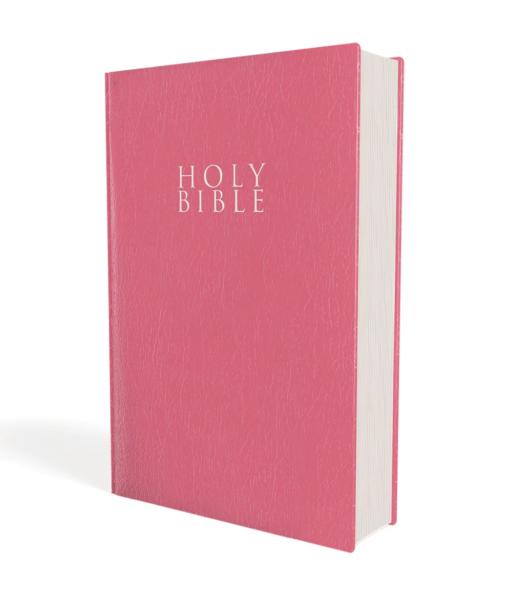 NIV, Gift and Award Bible, Leather-Look, Red Letter Edition, Comfort Print - Image 41