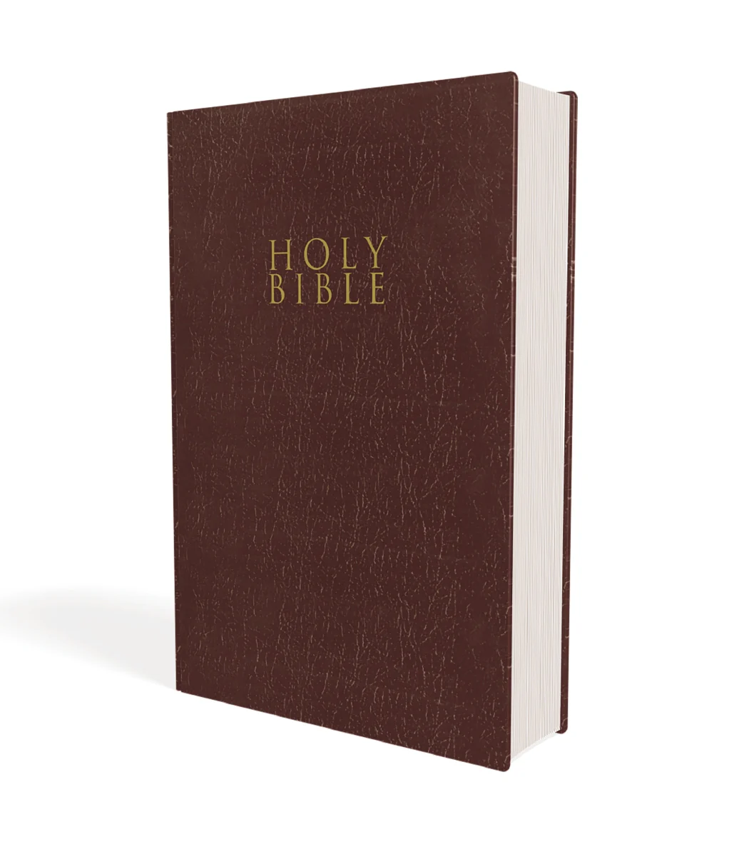 NIV, Gift and Award Bible, Leather-Look, Red Letter Edition, Comfort Print - Image 43