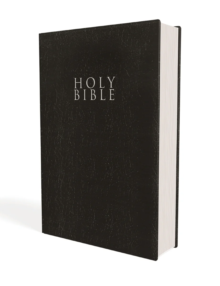 NIV, Gift and Award Bible, Leather-Look, Red Letter Edition, Comfort Print - Image 44