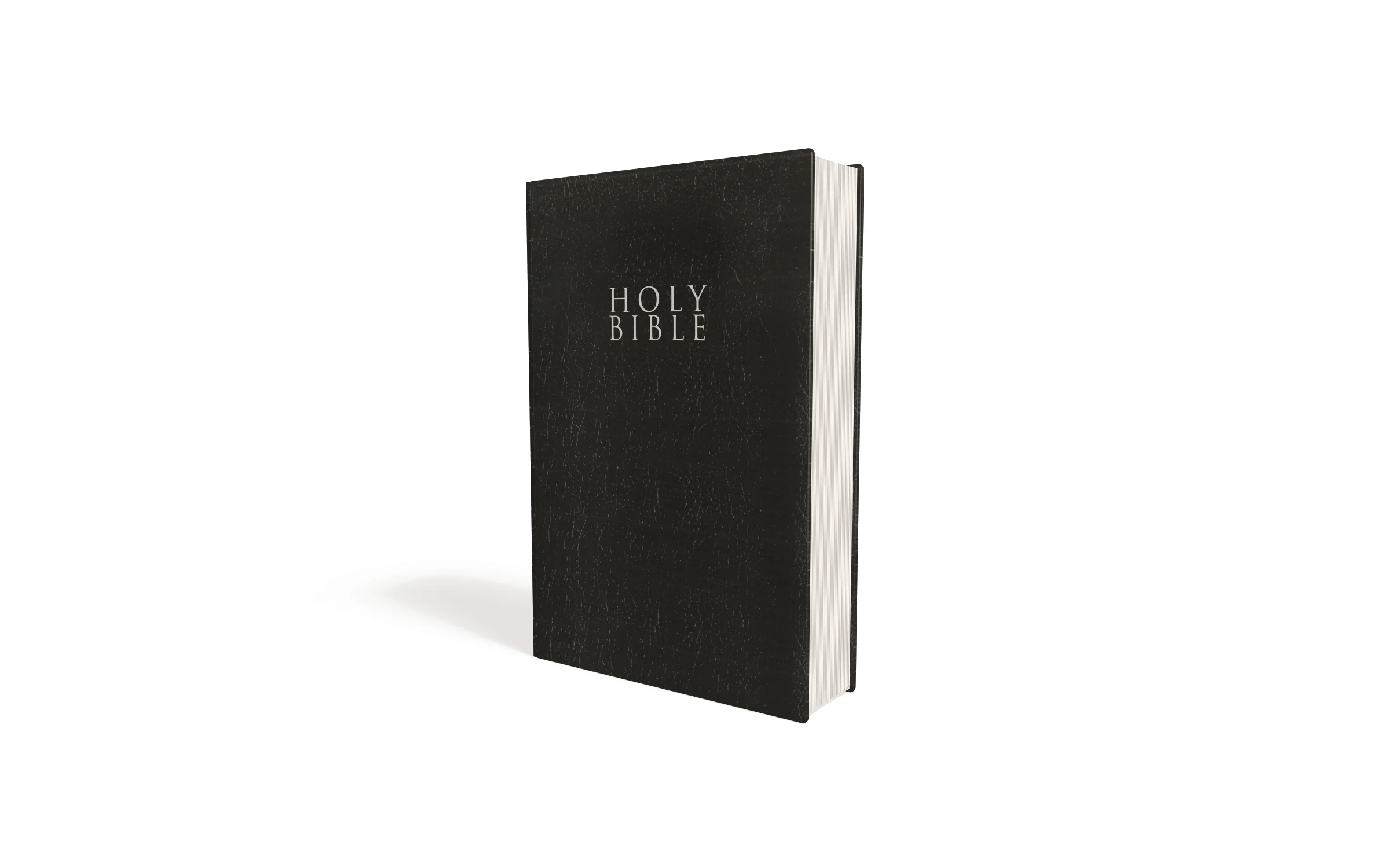 NIV, Gift and Award Bible, Leather-Look, Red Letter Edition, Comfort Print - Image 7