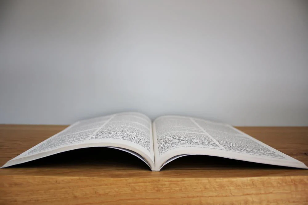 NIV, Outreach New Testament, Paperback - Image 15