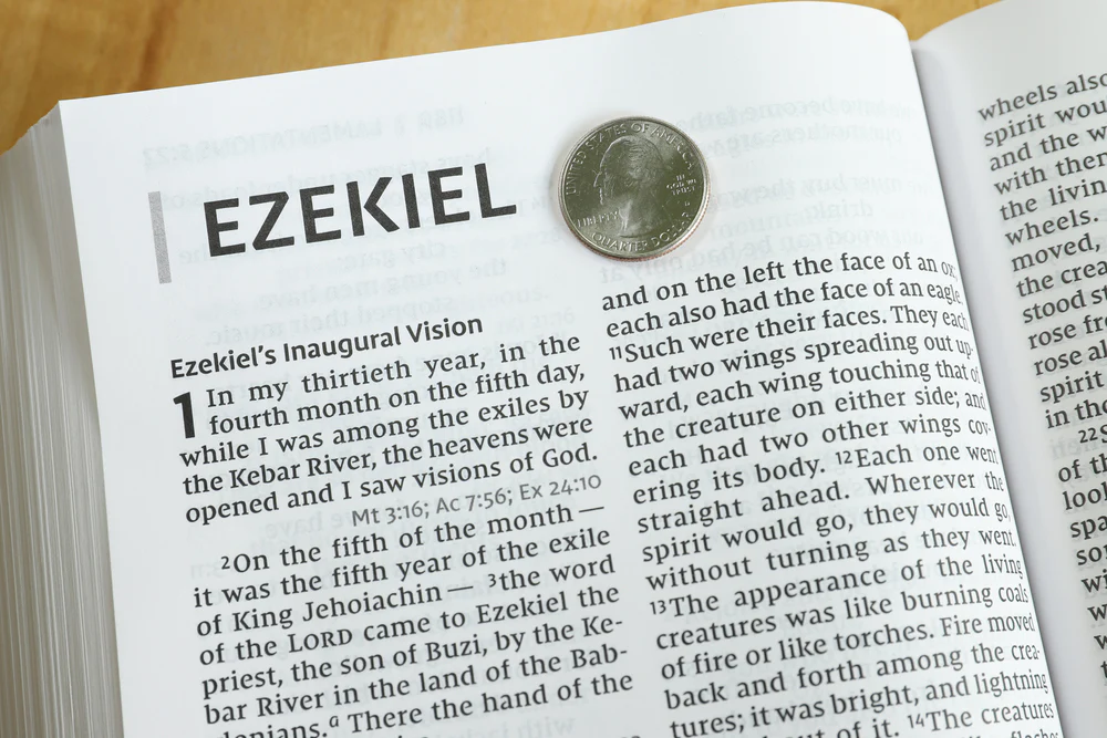 NIV, Reference Bible, Giant Print, Red Letter Edition, Comfort Print - Image 20