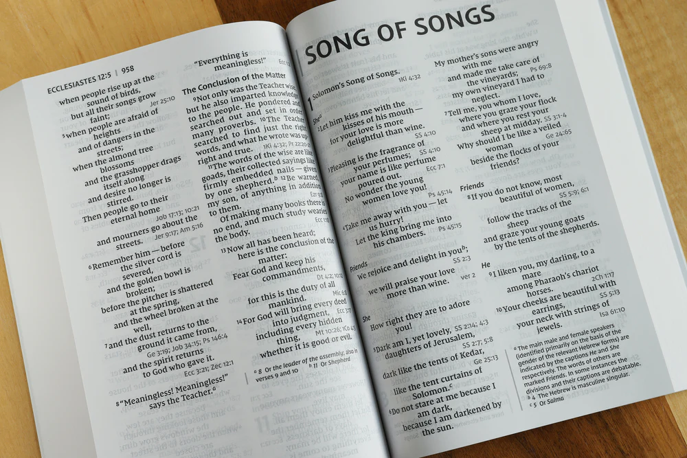 NIV, Reference Bible, Giant Print, Red Letter Edition, Comfort Print - Image 27