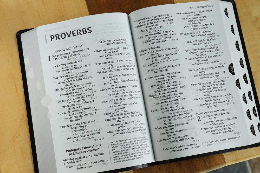 NIV, Reference Bible, Giant Print, Red Letter Edition, Comfort Print - Image 35