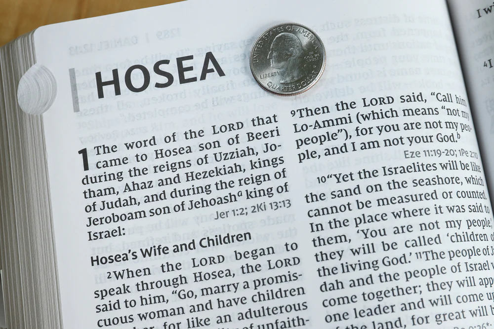 NIV, Reference Bible, Giant Print, Red Letter Edition, Comfort Print - Image 36