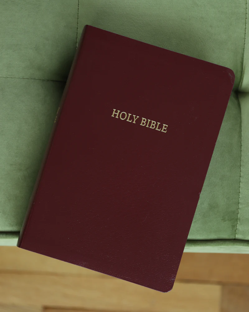 NIV, Reference Bible, Giant Print, Red Letter Edition, Comfort Print - Image 37