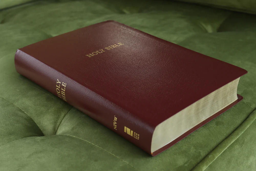 NIV, Reference Bible, Giant Print, Red Letter Edition, Comfort Print - Image 38