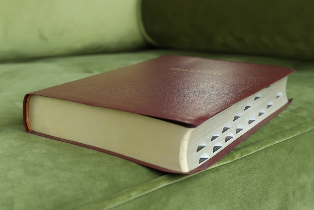 NIV, Reference Bible, Giant Print, Red Letter Edition, Comfort Print - Image 40