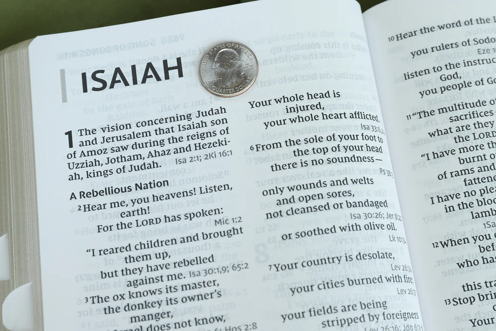 NIV, Reference Bible, Giant Print, Red Letter Edition, Comfort Print - Image 41