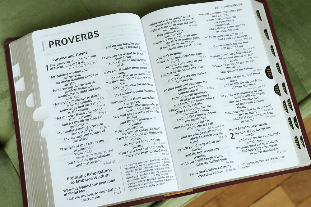 NIV, Reference Bible, Giant Print, Red Letter Edition, Comfort Print - Image 43