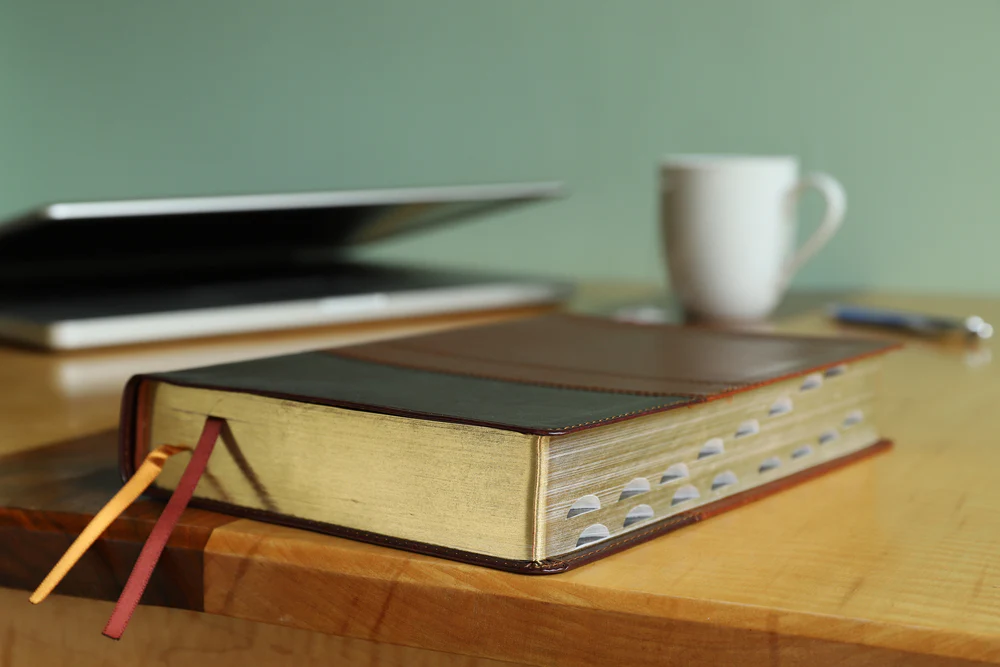 NIV, Reference Bible, Giant Print, Red Letter Edition, Comfort Print - Image 48