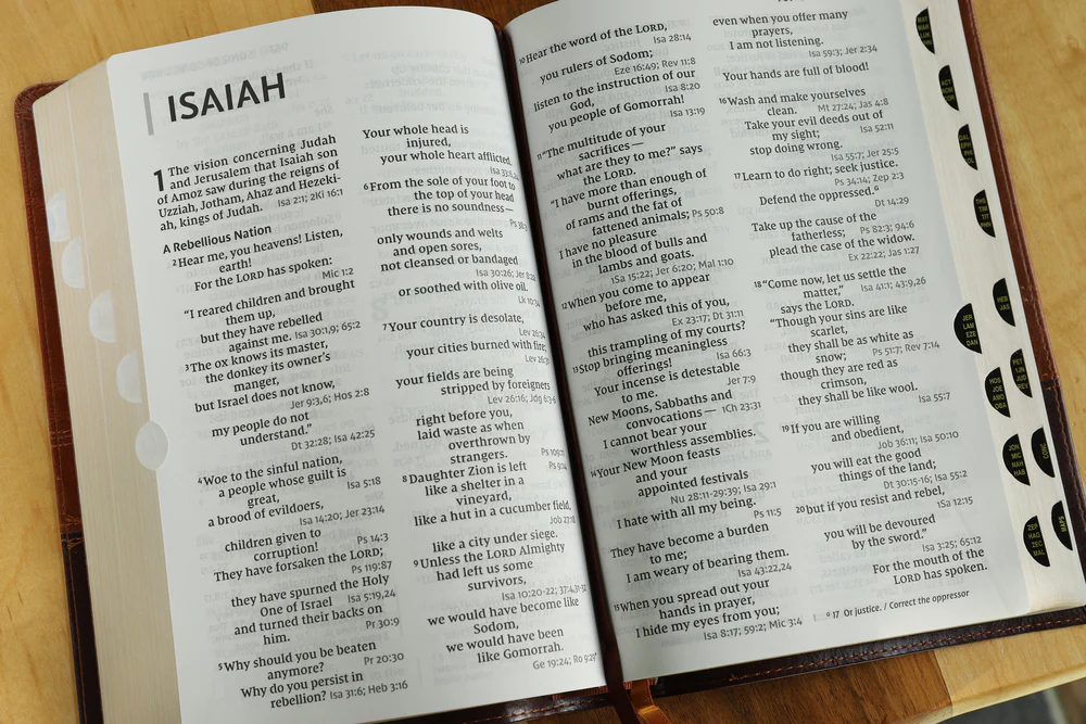 NIV, Reference Bible, Giant Print, Red Letter Edition, Comfort Print - Image 49