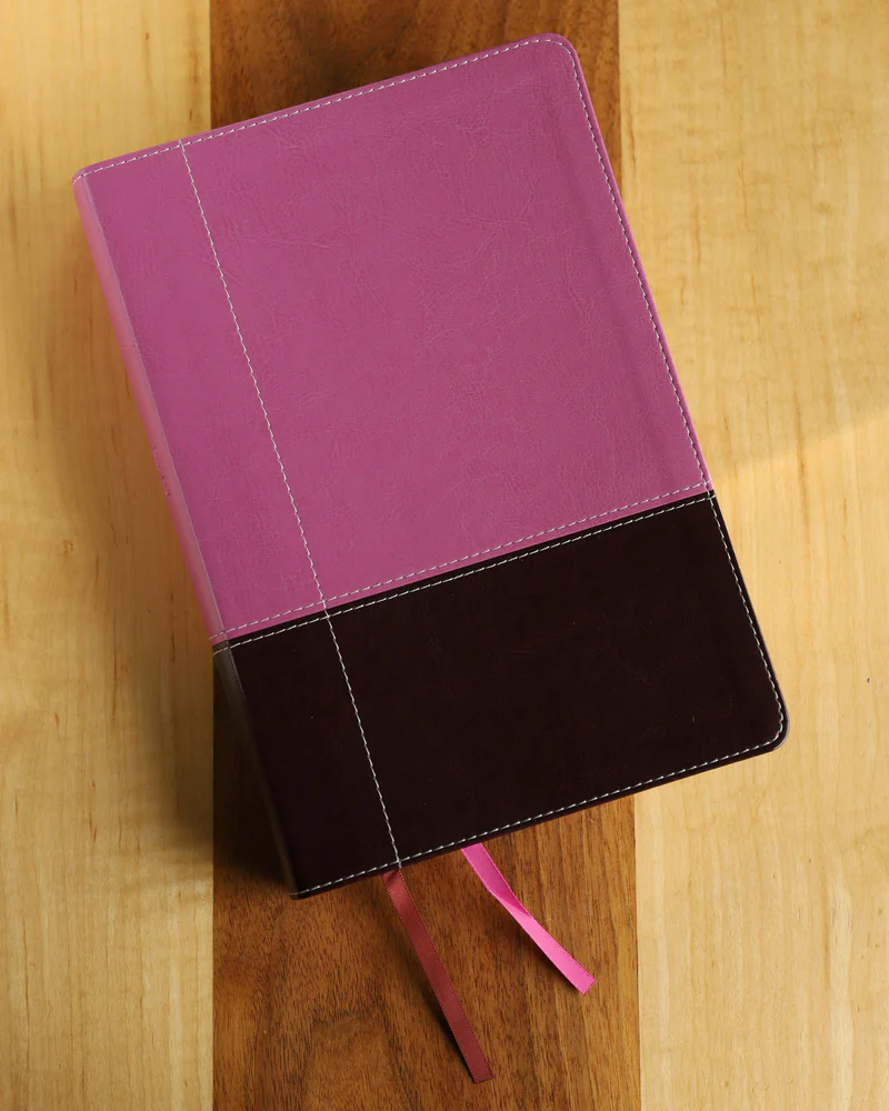 NIV, Reference Bible, Giant Print, Red Letter Edition, Comfort Print - Image 51