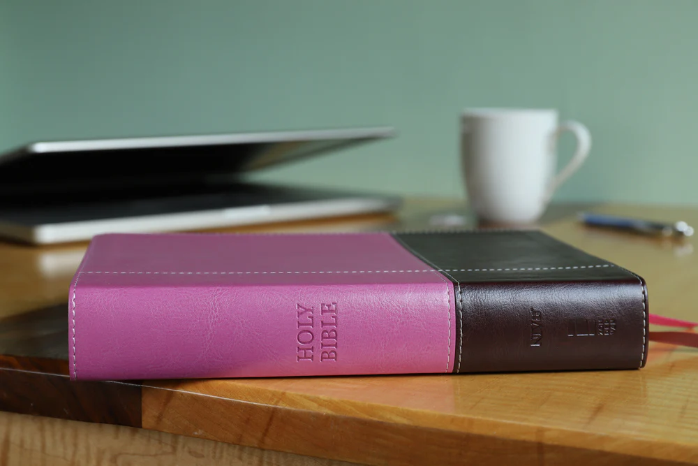 NIV, Reference Bible, Giant Print, Red Letter Edition, Comfort Print - Image 52