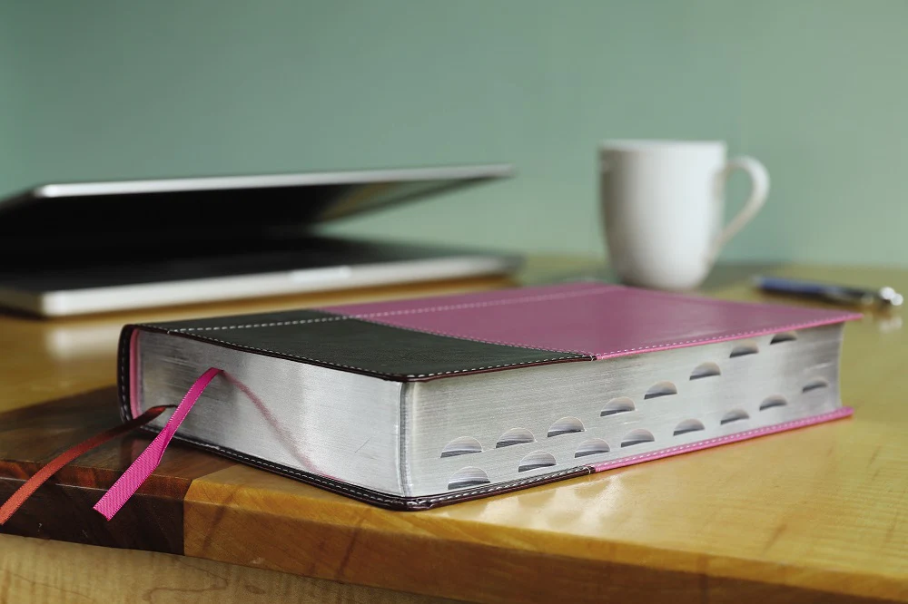 NIV, Reference Bible, Giant Print, Red Letter Edition, Comfort Print - Image 54