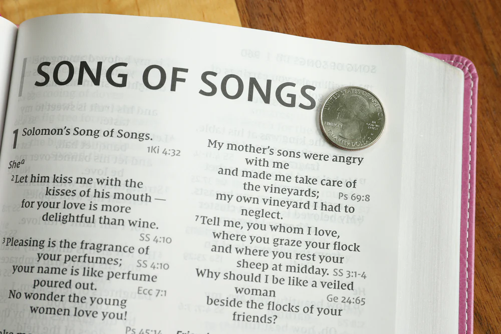 NIV, Reference Bible, Giant Print, Red Letter Edition, Comfort Print - Image 56