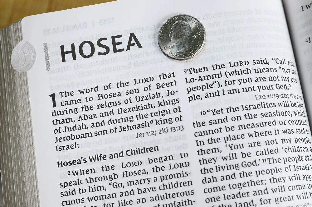 NIV, Reference Bible, Giant Print, Red Letter Edition, Comfort Print - Image 57