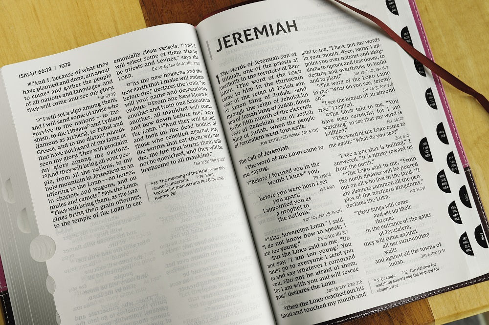 NIV, Reference Bible, Giant Print, Red Letter Edition, Comfort Print - Image 59