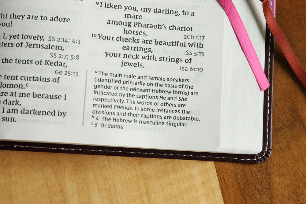 NIV, Reference Bible, Giant Print, Red Letter Edition, Comfort Print - Image 60