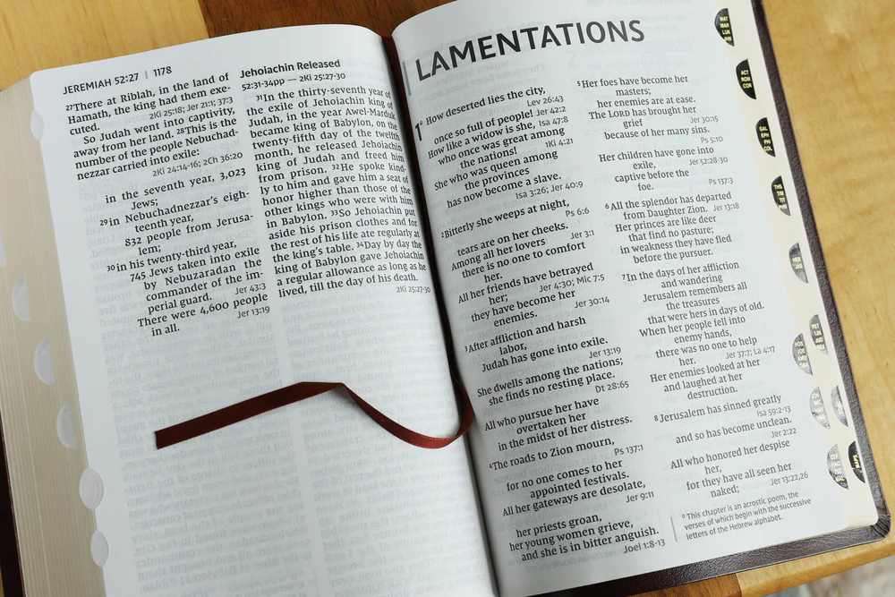 NIV, Reference Bible, Giant Print, Red Letter Edition, Comfort Print - Image 65