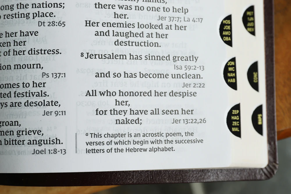 NIV, Reference Bible, Giant Print, Red Letter Edition, Comfort Print - Image 67