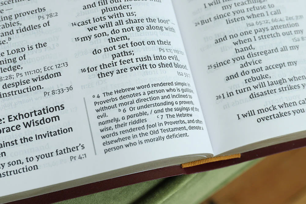 NIV, Reference Bible, Giant Print, Red Letter Edition, Comfort Print - Image 73