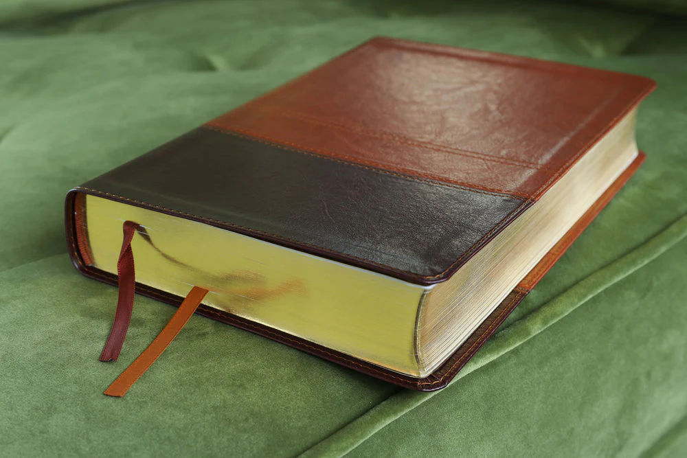 NIV, Reference Bible, Giant Print, Red Letter Edition, Comfort Print - Image 78