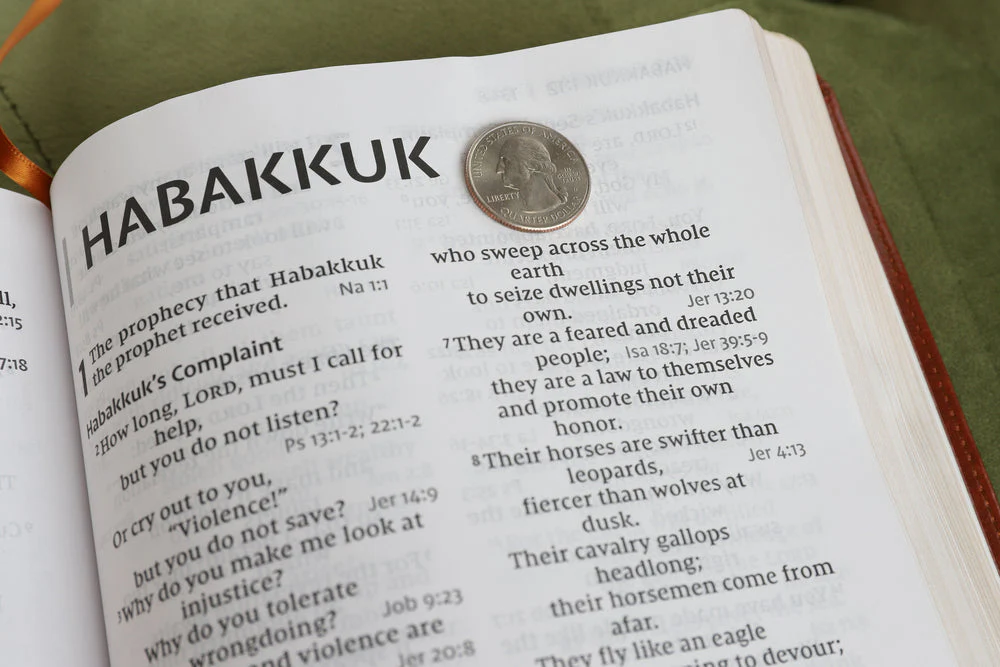 NIV, Reference Bible, Giant Print, Red Letter Edition, Comfort Print - Image 80