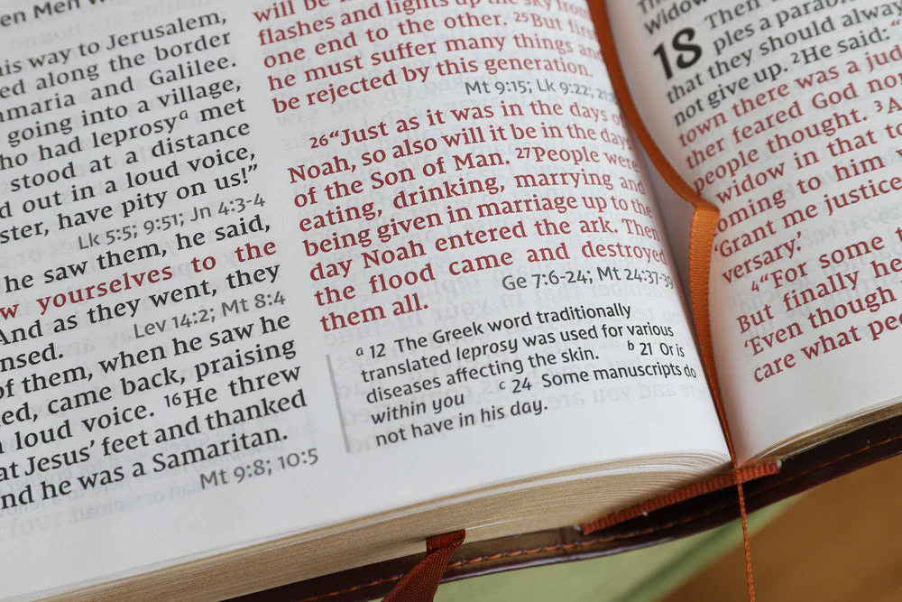 NIV, Reference Bible, Giant Print, Red Letter Edition, Comfort Print - Image 81